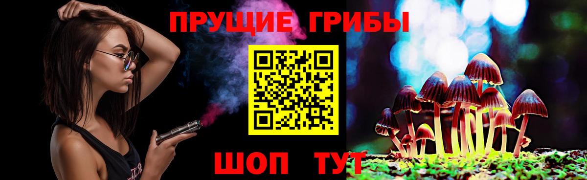 Галлюциногенные грибы мицелий  купить   Пыть-Ях  Вход с VPN 